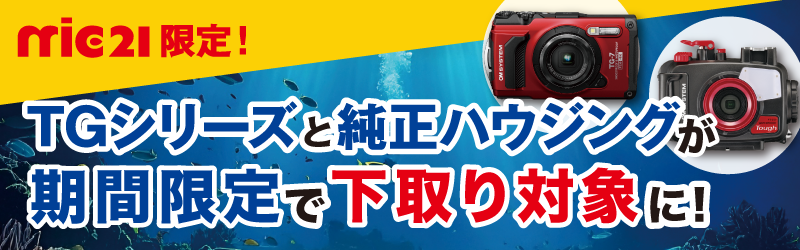 After purchasing a diving mask